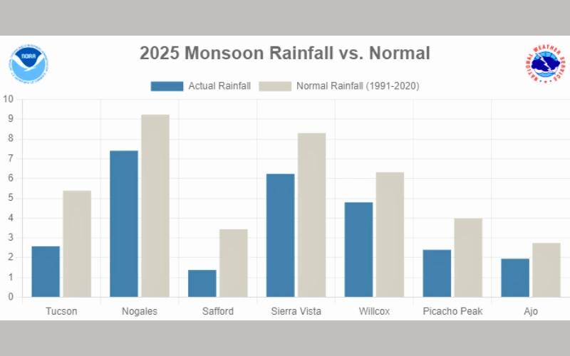 Arizona monsoon rainfall 2025 compared to 1991–2020 normal in Tucson, Nogales, Sierra Vista and other cities.