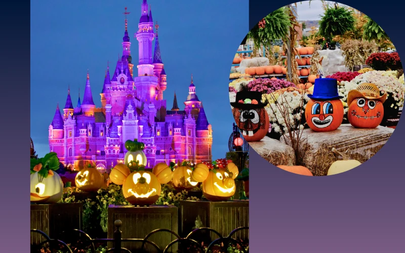 Disneyland castle glowing in purple lights at night with carved pumpkins and festive Halloween decorations in the foreground.