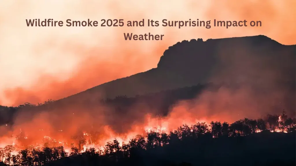 Intense orange and red sky caused by wildfire smoke above silhouetted trees.