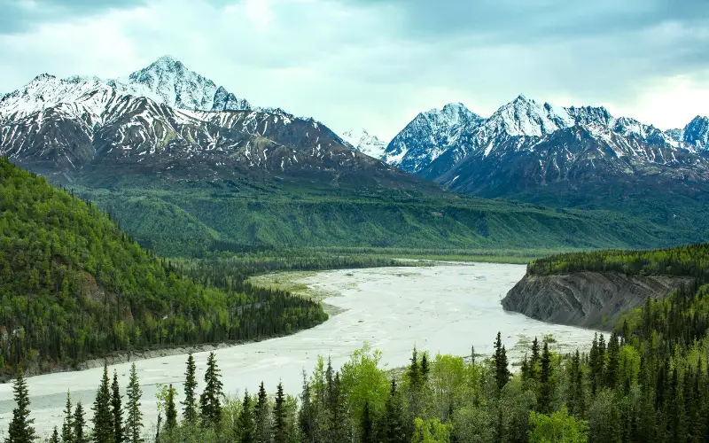 Snow-capped mountains with dense green forests and a glacial river flowing through the valley, showcasing the harmony between glaciers, rivers, and ecosystems.