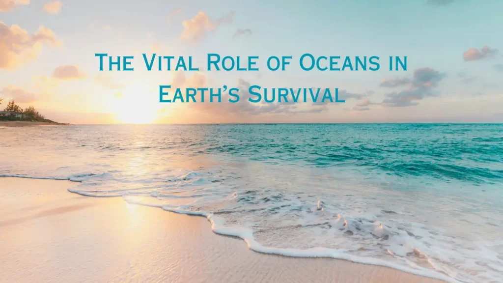 Beach and ocean under sunrise highlighting the importance of oceans for Earth’s survival.