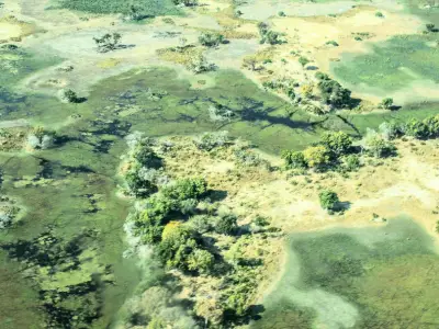 Aerial view of green wetlands and floodplains showing natural water flow and vegetation patterns, highlighting the role of wetlands in flood control and ecosystem balance.