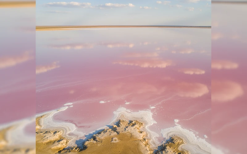 Aerial view of a pink salt lake with natural algae pigments and salt crusts near the shoreline under clear summer skies.