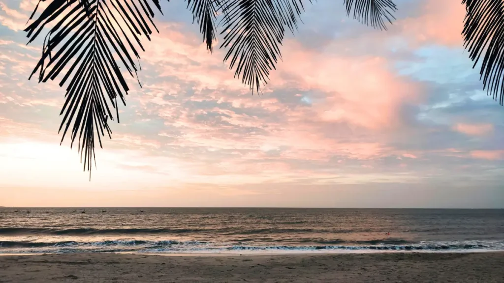 Sunset sky with pastel clouds over a calm ocean framed by palm leaves.