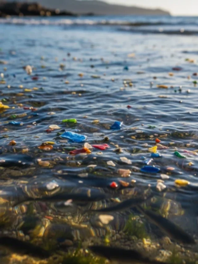 cropped-microplastics-ocean-surface-2025.webp