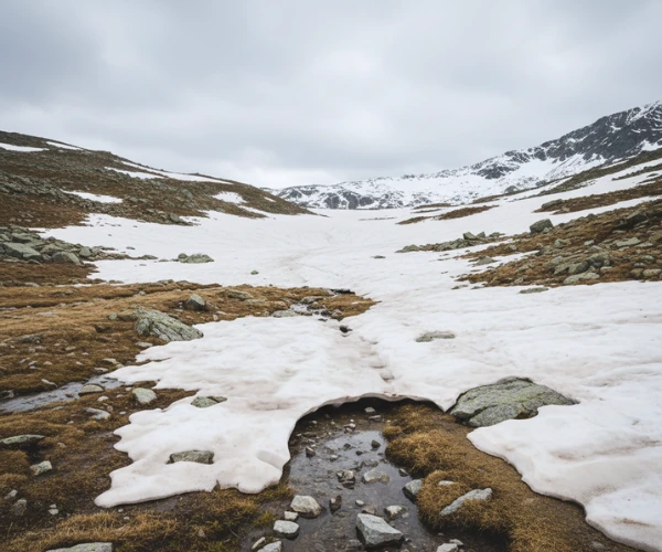 “Partially melted snowfield in the European Alps showing exposed grass and rocks during a warm early winter.”