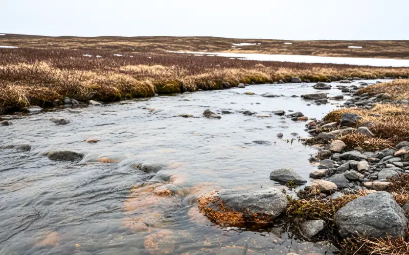 Orange-tinted Arctic river in Alaska formed by thawing permafrost and metal release into freshwater ecosystems.